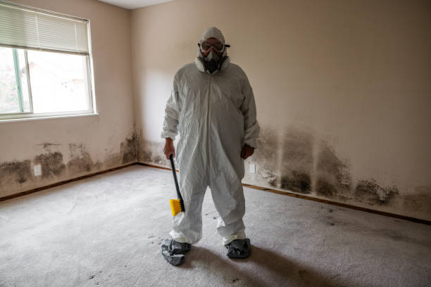 Best Mold Odor Removal Services  in Canonsburg, PA